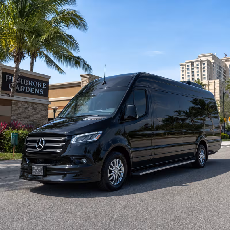14 Passenger Sprinter Limo
